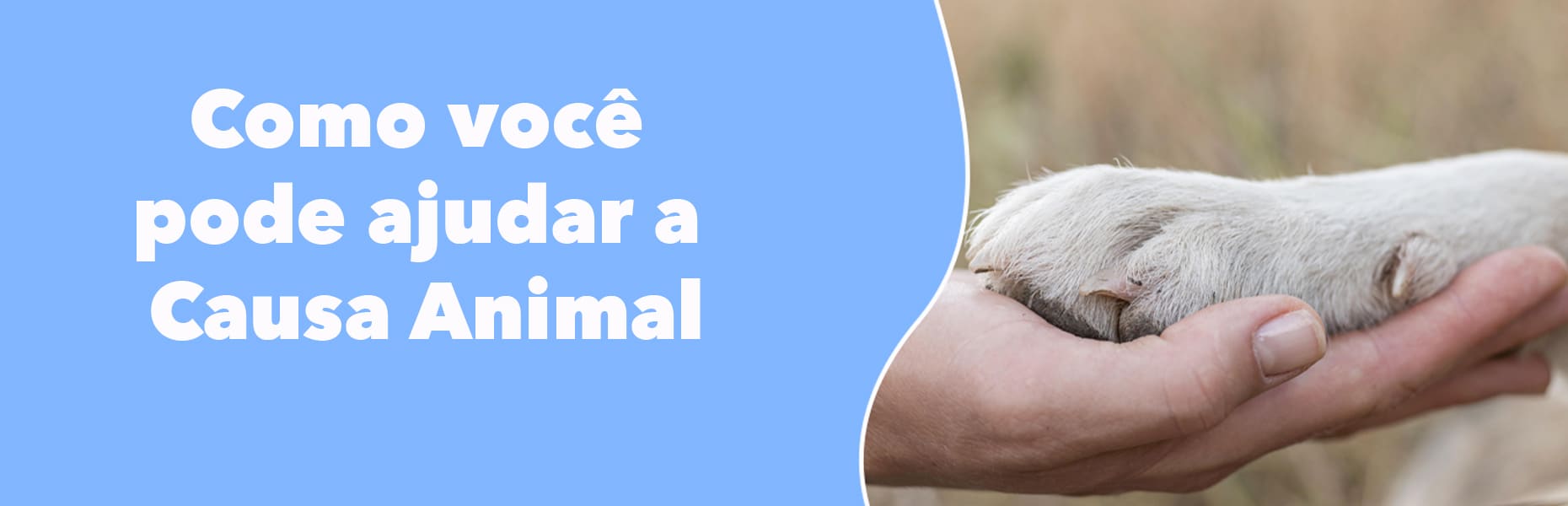 Banner com a foto de uma mão humana e a pata de um cachorro juntas acompanhada da seguinte frase: 'Como você pode ajudar a causa animal'