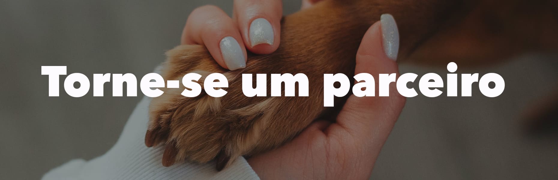 Banner com a escrita 'Torne-se parceiro' com uma imagem das patas de um cachorro