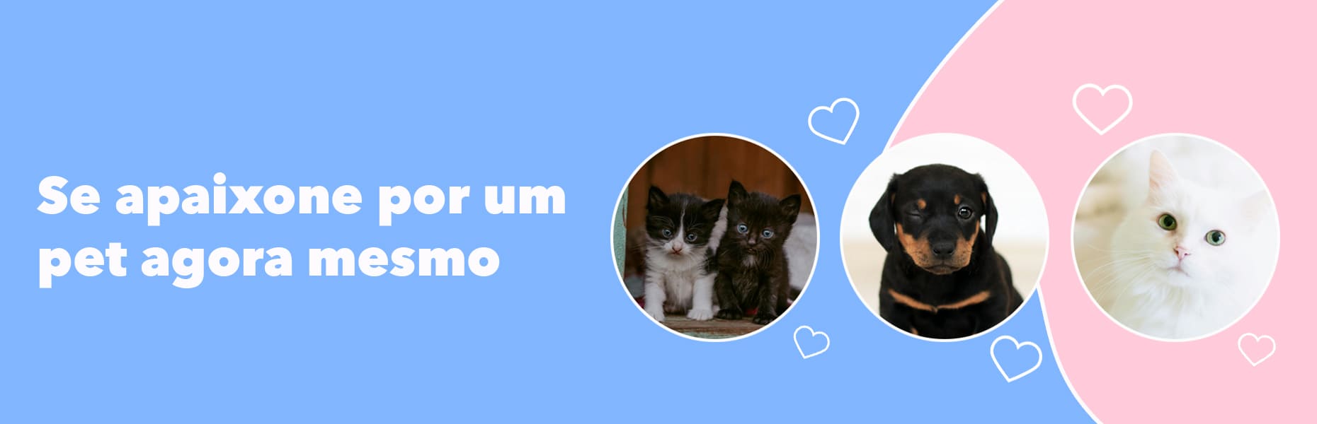 Banner que apresenta foto de três gatos e um cachorro fofos juntamente da frase 'Se apaixone por um pet agora mesmo'